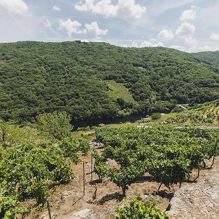 Vineyards & Mino Views - Ribeira Sacra *