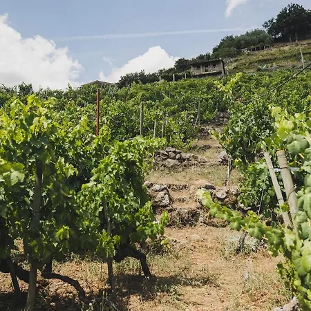 Vineyards & Mino Views - Ribeira Sacra Чантада