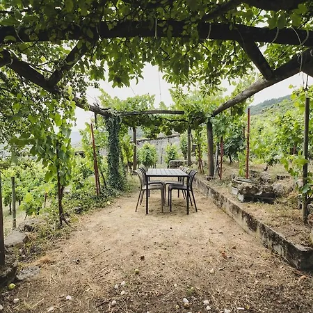 Vineyards & Mino Views - Ribeira Sacra Дом отдыха *