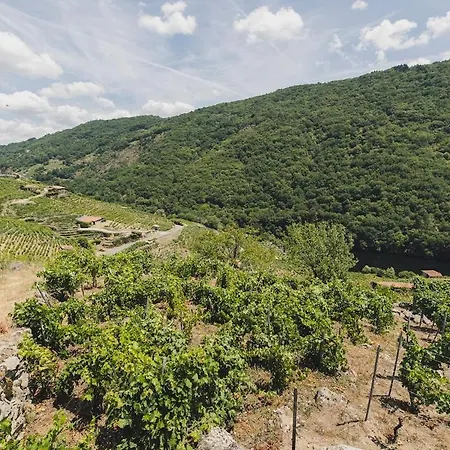 Vineyards & Mino Views - Ribeira Sacra * Чантада